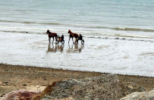 Les sables d'or - Foto 4