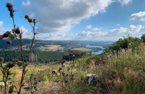 Fewo Allezeit Sauerland - Foto 44