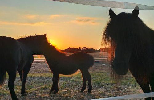 Familienfreundliche große Ferienwohnung mit Pool & Pferden - Spielplatz direkt am Haus - Foto 27