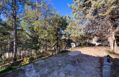 La cabaña del Burguillo - Photo 33