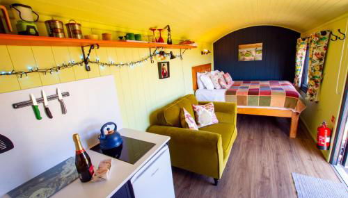 The Gambo Shepherd's Hut - Foto 5