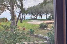 Bouganville in Villa Greco - Foto 39