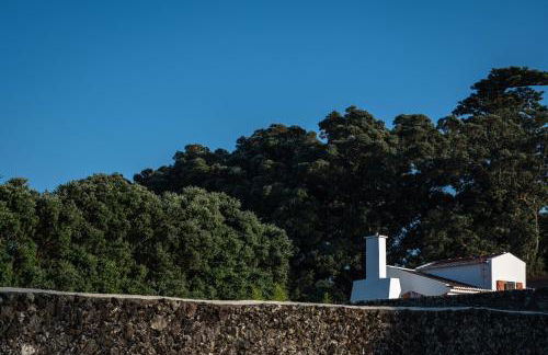 ENTRE MUROS - Turismo Rural - Casa com jardim e acesso direto ao mar - Photo 10
