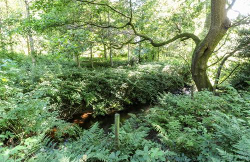 Bull Hill Cottage - Foto 25