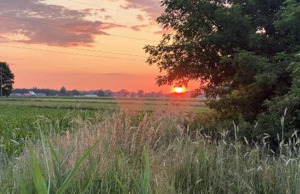 Siedlisko pod Kasztanem - Foto 46