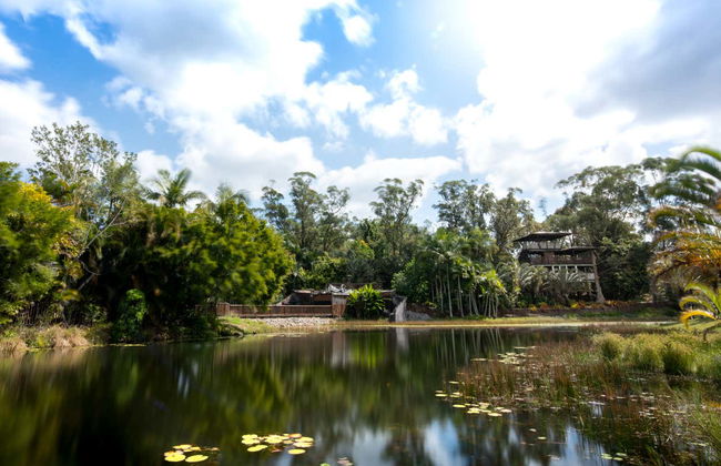 Australia Zoo Entrance Ticket - Photo 8