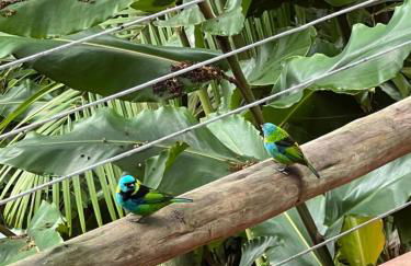 Suíte e Sala com Vista para o Mar - Praia Barra do Sahy - Foto 28