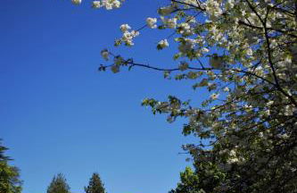 Glamis House - Photo 49