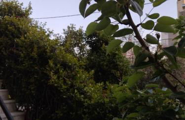 The house in nature SKG - Foto 21