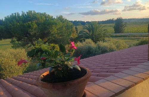 Villa Novi Tuscany - Foto 23