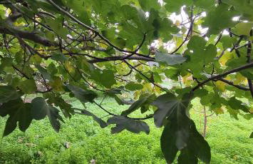 Garden house - Photo 74