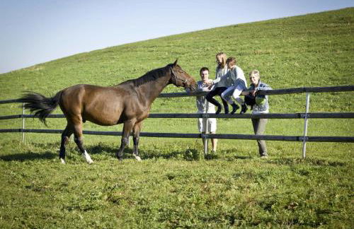 Ferienhof "Schoppa-Haisl" - Foto 15