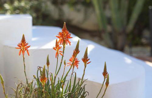 Apartment la Vida en Rosa - Foto 10