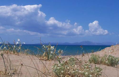 Antonios Village Hotel & Apartments - Foto 123