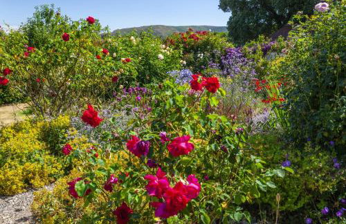 Coach House View Porlock Weir - Foto 39