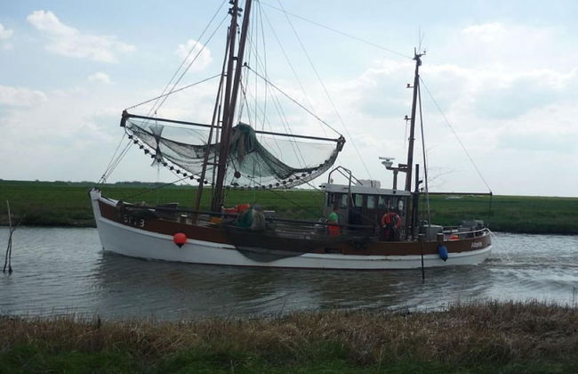 North Sea Holiday House Wellmeyer - Photo 15