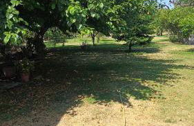 Villetta Scolacium - Foto 13