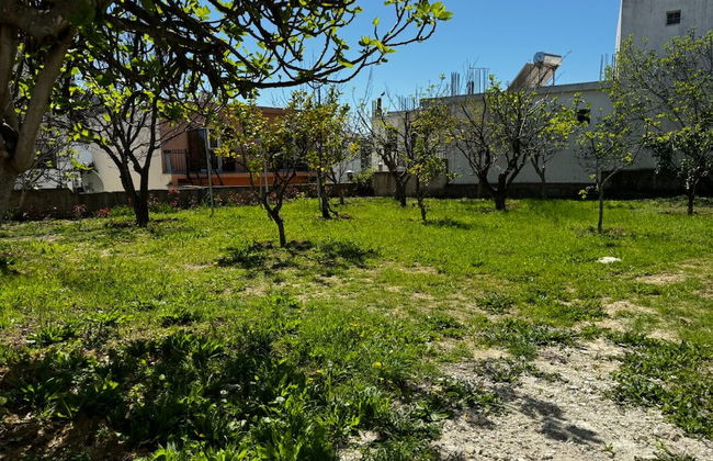 Skiathos Modern Garden Escape Apt - Foto 42