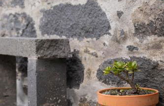 Refúgio do Sossego - Photo 17