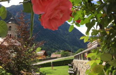 Agritur Ruatti - Foto 11