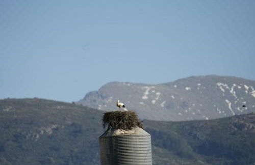 El Mirador de Segovia - Foto 32