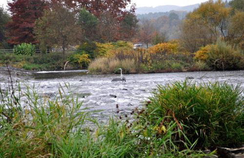 Ferienwohnung Schadler - Foto 26