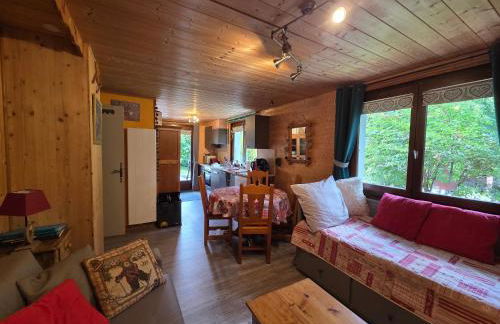 Chalet la sapiniere - Photo 29