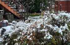 FeWo Zieger - Urlaub in Franken - Foto 68