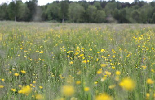 Ośrodek Wypoczynkowo Sportowy Pod Żurawiem - Foto 21