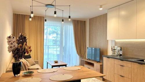 Apartamenty Bryza nad jeziorem - Foto 3, stove