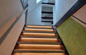 Königsnase - Foto 10