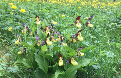 Feriendomizil Taupadel - Foto 29