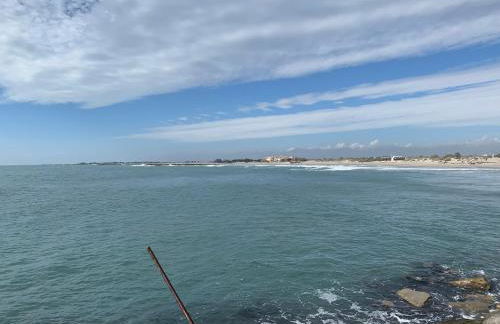 La Villa Vaihéré en Camargue, l'Hibiscus et le Magnolia - Foto 38