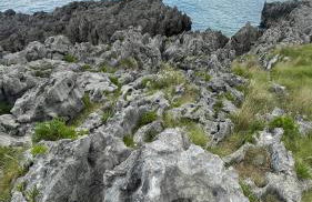 Marismas de Cantabria cerca de Laredo - Foto 40