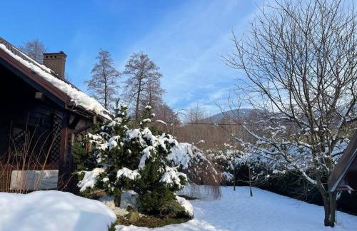 BESKIDIUM - uroczy dom Brenna - Foto 32