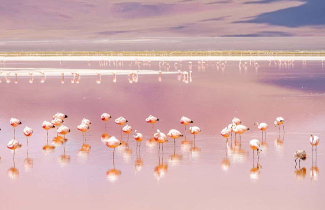 Tour di 4 giorni da Uyuni a La Paz - Foto 7