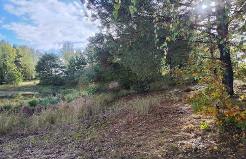 Kleine Freiheit Nummer 3 - Foto 17