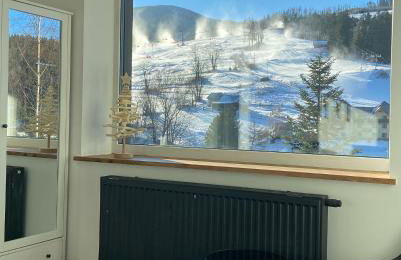 Villa Makuchówka - Foto 53