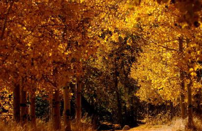 Prospect Cottage Fabulous Home In Stunning Rhondda Valley By STAE-Homes - Foto 28