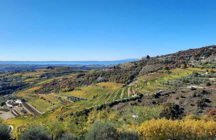 Panoramico10 Apartment with a view in Valpolicella - Foto 16