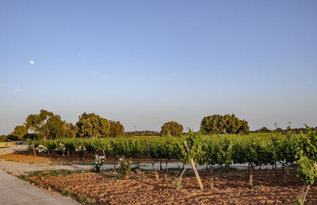 Finca Gomera, Luxury Country House - Foto 77