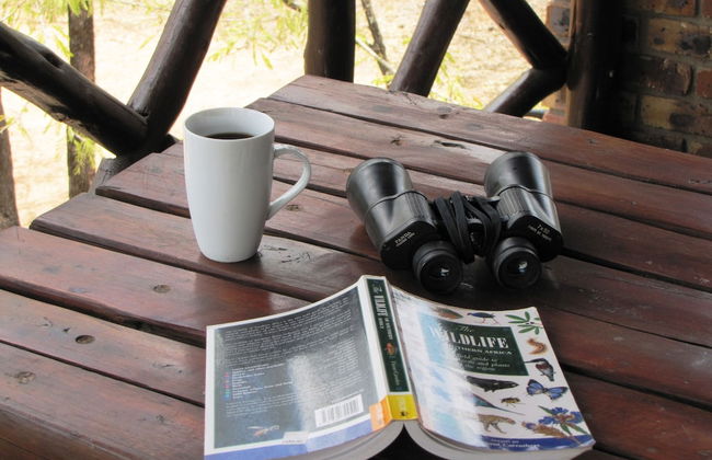 Umvangazi Rest - Enjoy a Relaxing, Rejuvenating and Peaceful Setting in the Bush - Foto 12