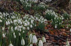 Estate Getaway at Powis House Estate - Foto 32