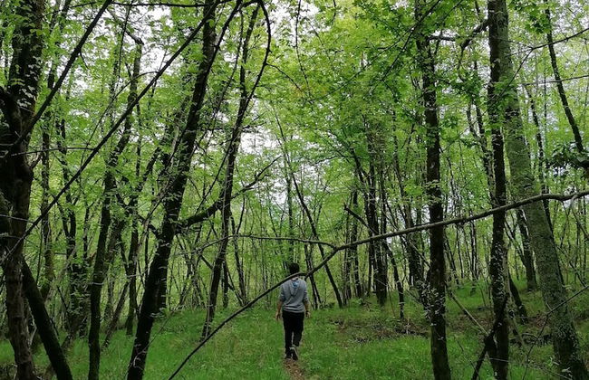 Luxury Three-bedroom Apartment With Amazing Overlook at the sea - Foto 47