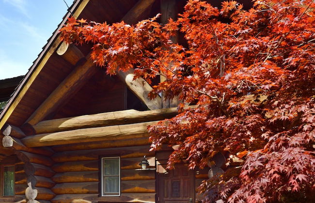 Urube Village - Foto 24