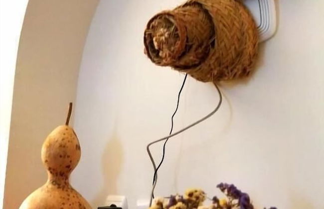 Herdade da Diabroria - Foto 42