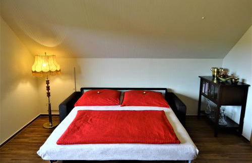 Neubrandenburg-Wasser,Natur,Zentrum,Ladestation für E-Autos - Foto 22