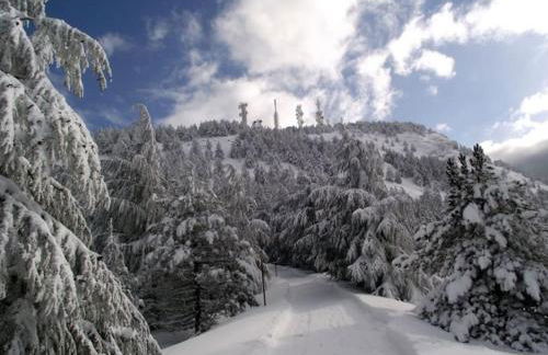 La casetta sulle nuvole. - Foto 28