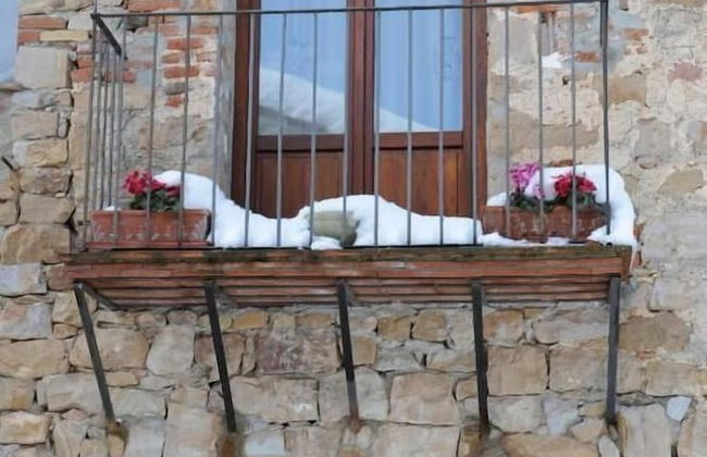 Masseria rocca di Gonato - Foto 39