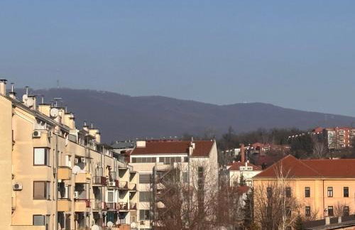 Daydream Lauba - Photo 64